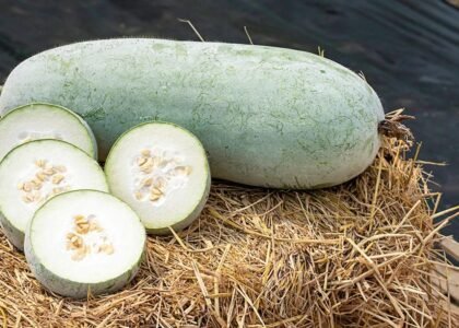 Ash Gourd Health Benefits