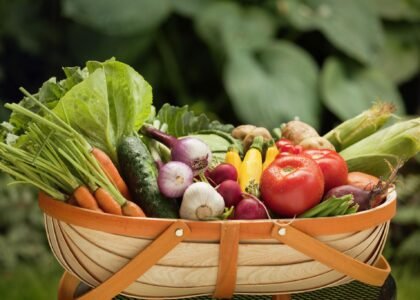 Seasonal Vegetables Health Benefits