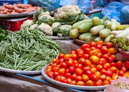Organic Vegetables Health Benefits