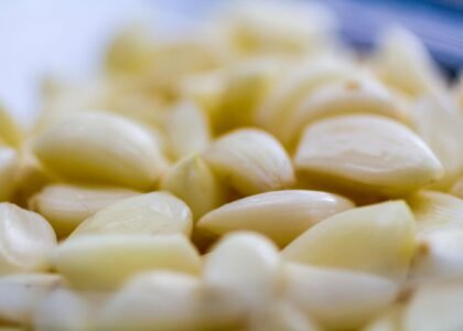 Garlic Health Benefits