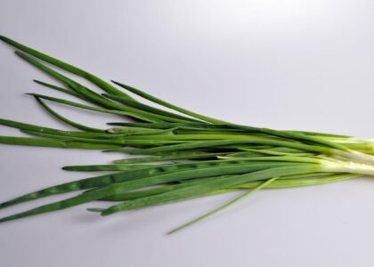 Spring Onion Health Benefits
