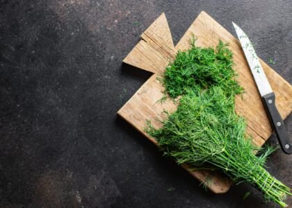 dill leaves benefits