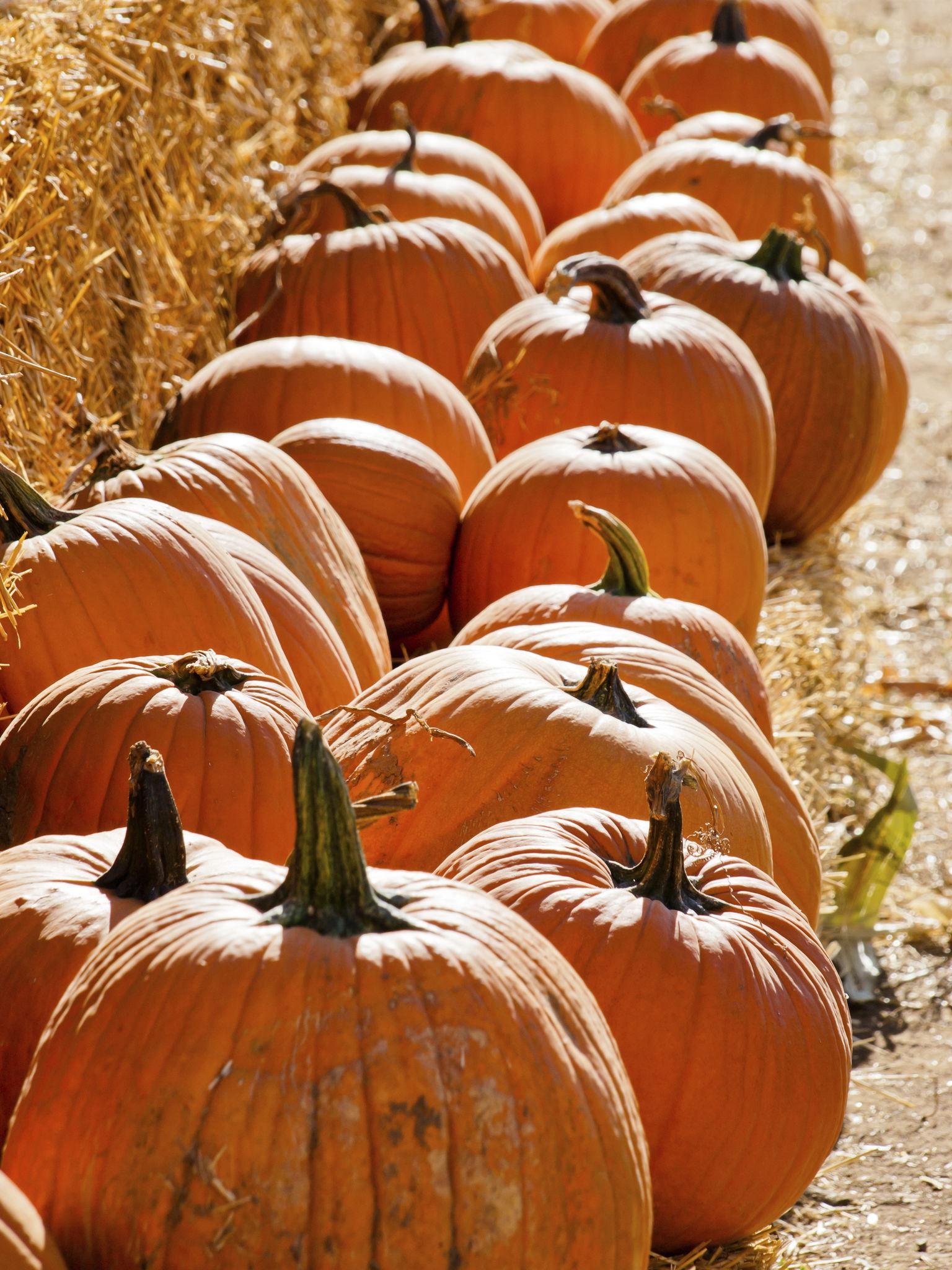 Pumpkin Health Benefits