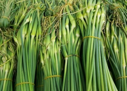 Spring Onion Health Benefits