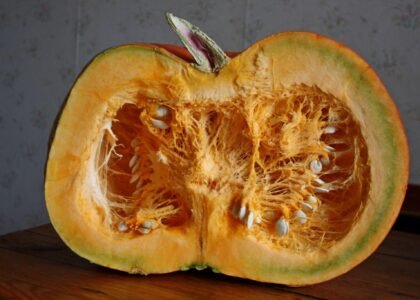 Pumpkin Health Benefits