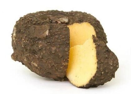 Yam Health Benefits