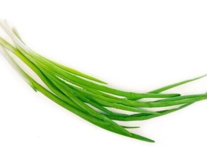 Spring Onion Health Benefits