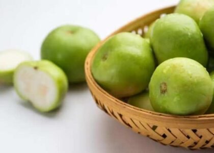round gourd benefits