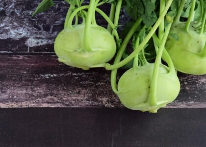 knol khol benefits
