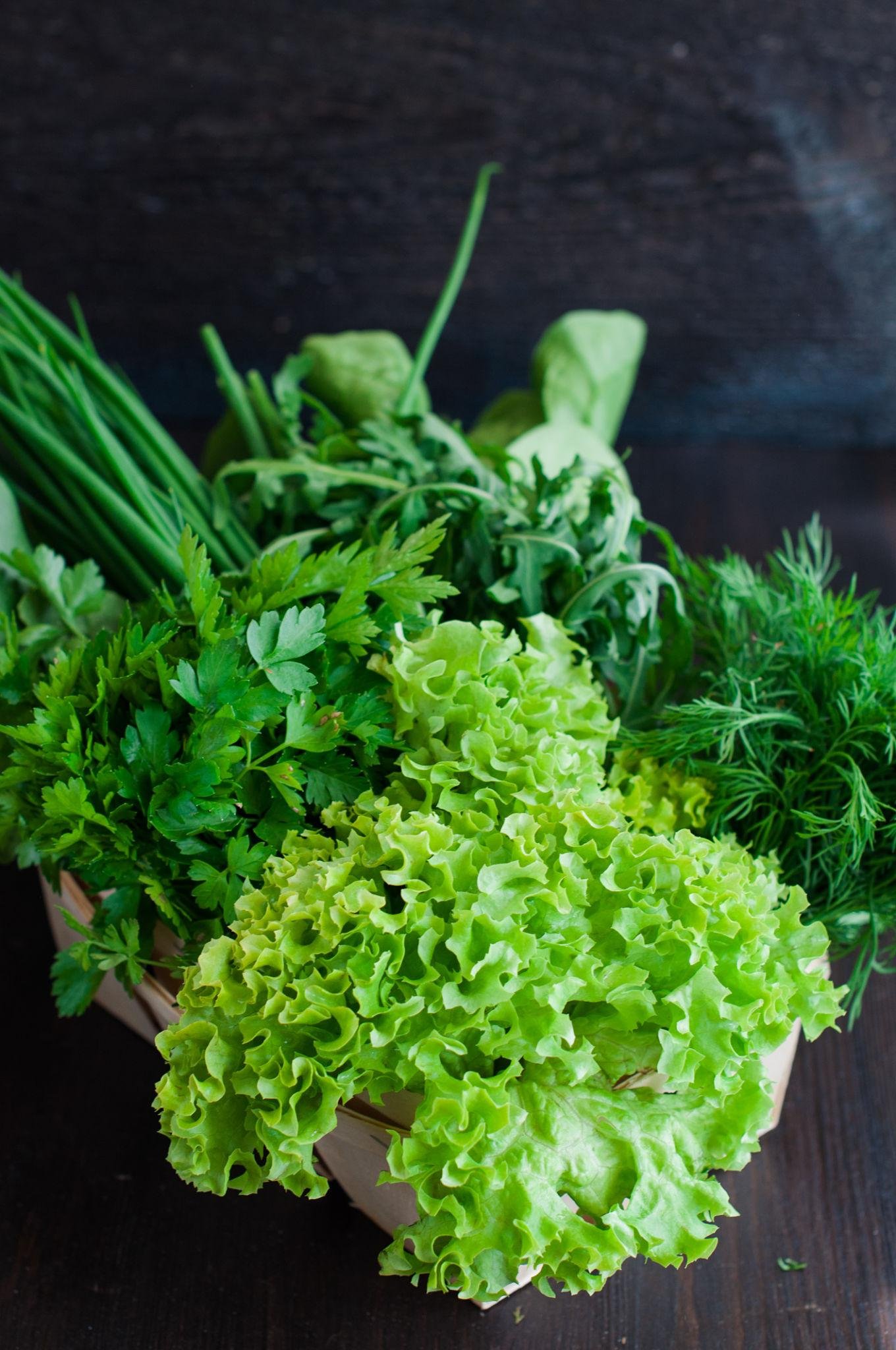 dill leaves benefits