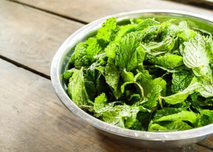 mint leaves benefits