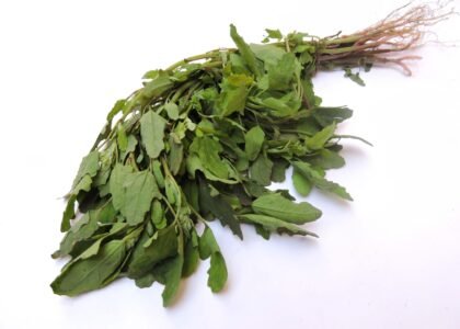 bathua leaves benefits