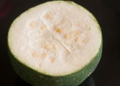 Ash Gourd Health Benefits