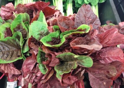 red spinach benefits