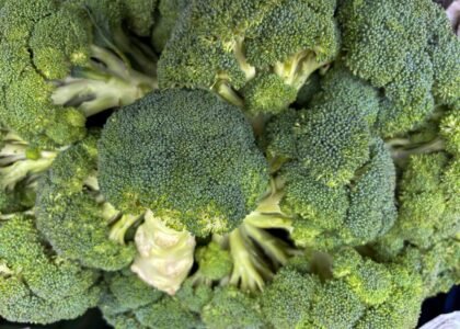 Broccoli Health Benefits