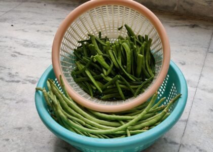 French Beans