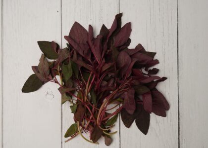 red spinach benefits