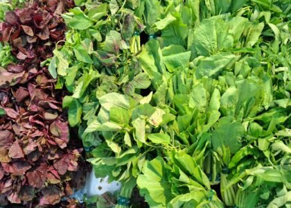 vegetables for diabetes