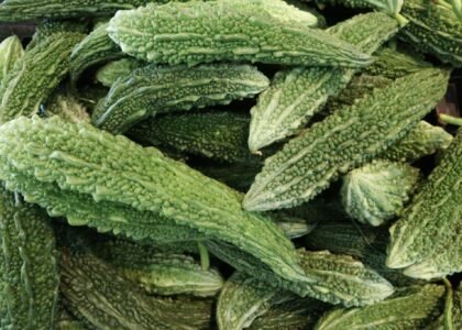 Bitter Gourd Health Benefits