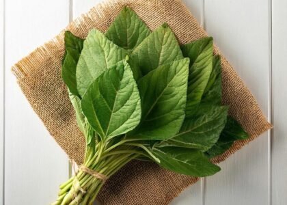amaranth leaves benefits