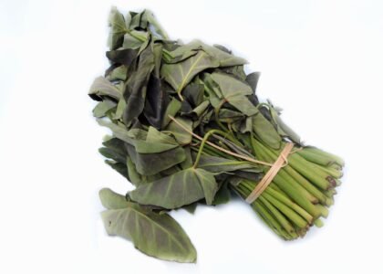 Colocasia Leaves Health Benefits