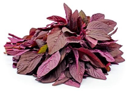 amaranth leaves benefits