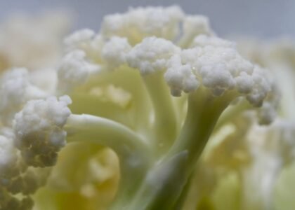 cauliflower health benefits