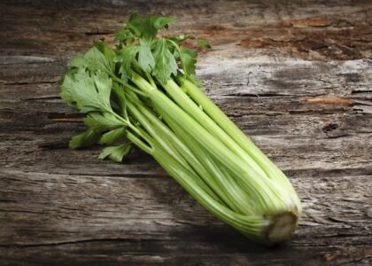 Celery Health Benefits