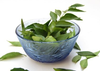 curry leaves benefits