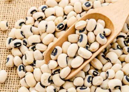 Cowpea Health Benefits