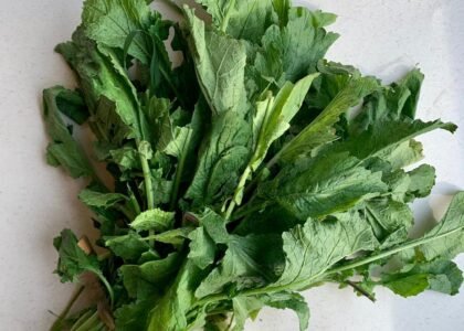 mustard greens benefits