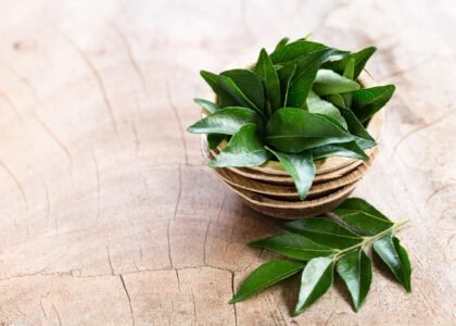 curry leaves benefits