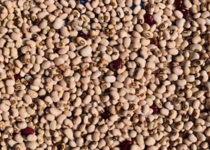 Cowpea Health Benefits