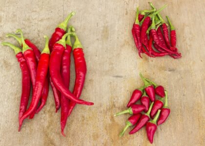Red Chili Health Benefits