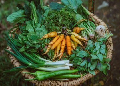 Farm Fresh Vegetables Health Benefits