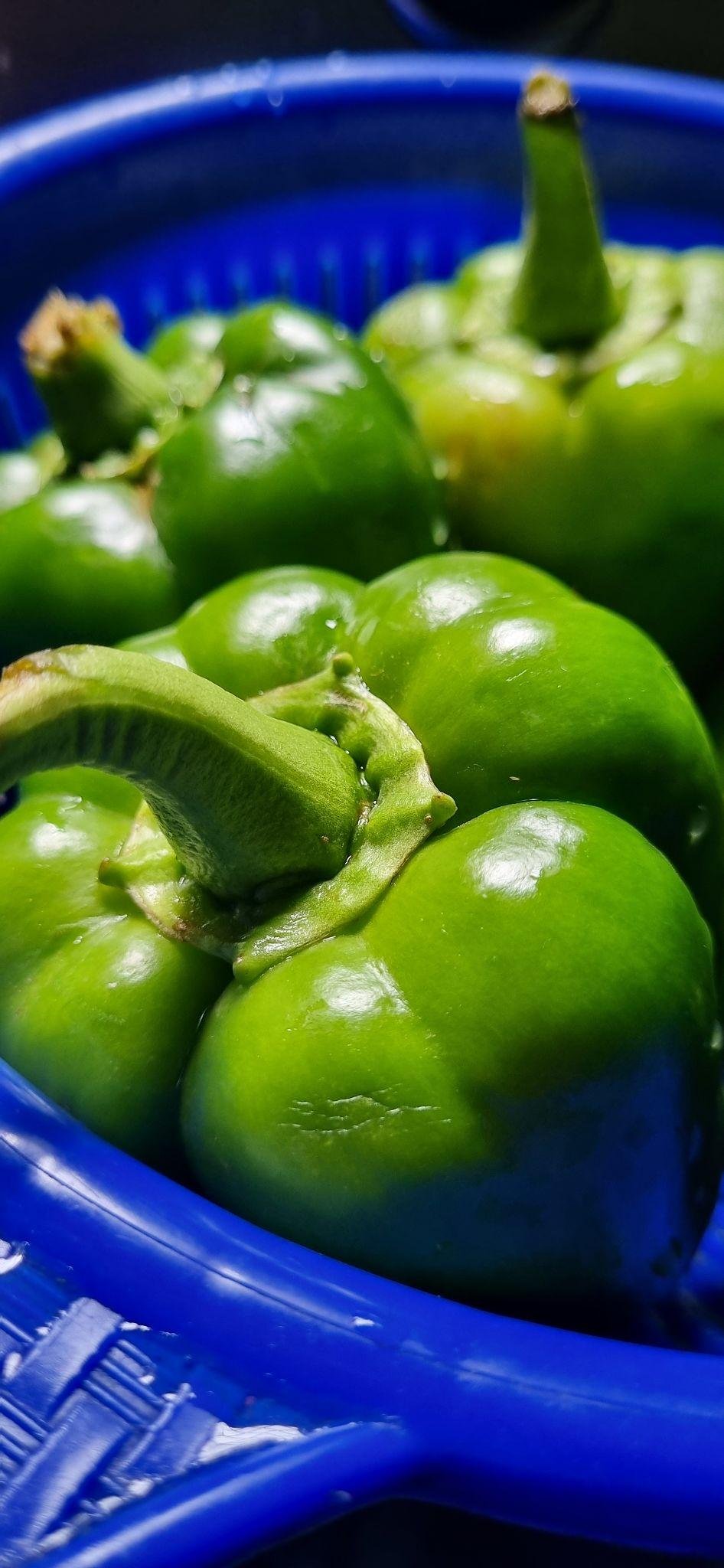 Capsicum Health Benefits