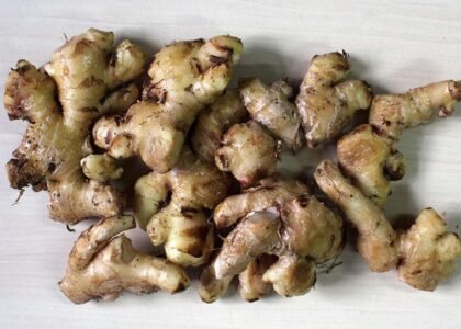 ginger health benefits