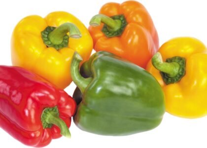 Capsicum Health Benefits