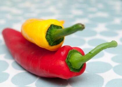 Capsicum Health Benefits