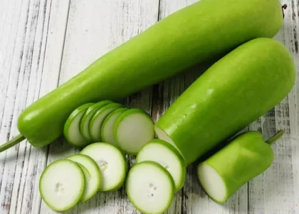 Bottle Gourd Health Benefits