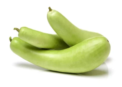 Bottle Gourd Health Benefits