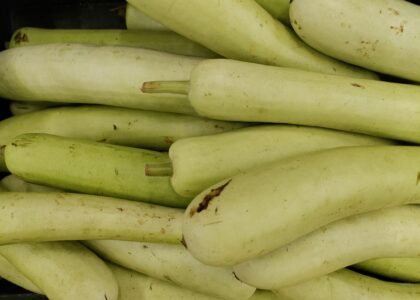 Bottle Gourd Health Benefits