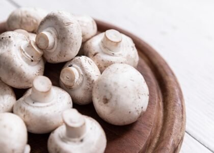 Mushroom Health Benefits