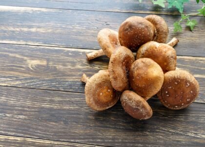 Mushroom Health Benefits