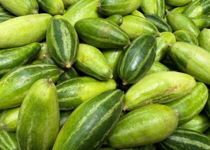 Pointed Gourd Health Benefits
