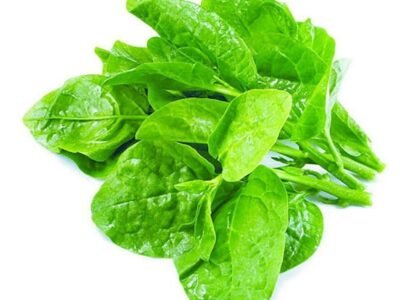 malabar spinach benefits