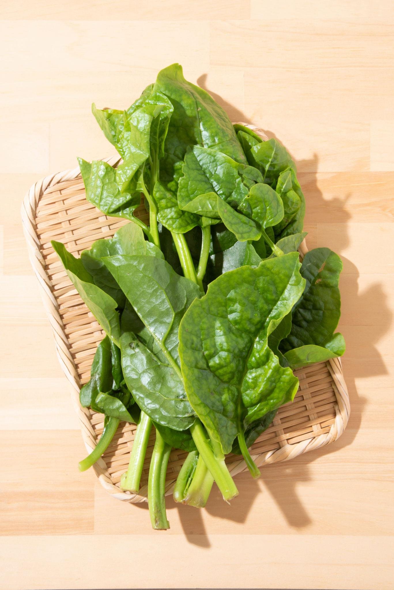 malabar spinach benefits