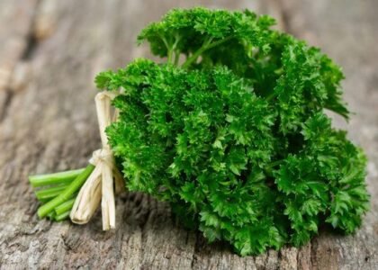 parsley health benefits