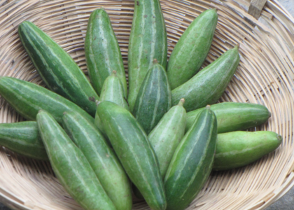 Pointed Gourd Health Benefits