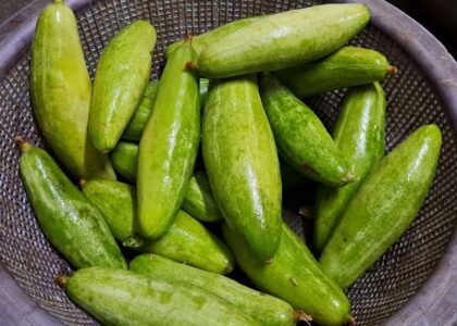 Pointed Gourd Health Benefits